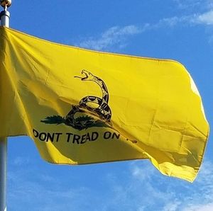 Meet your Posher, Ted